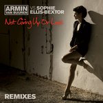 Armin van Buuren, Dash Berlin, Sophie Ellis-Bextor - Not Giving Up On Love